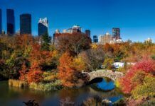 Qué visitar en Central Park – Guía completa, actividades, etc… Central Park blog de nueva york 2