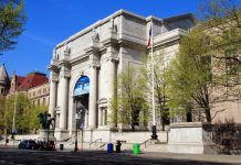 Visita al Museo de Historia Natural – Consejos, horarios, precios… museo historia natural nueva york